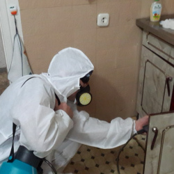 Дезинфекция от муравьев в квартире в ЮВАО Москвы