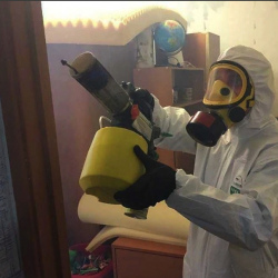 Уничтожение клопов в квартире. ЮВАО Москвы